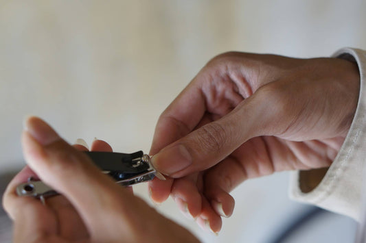 Can You Bring Nail Clippers on a Plane?