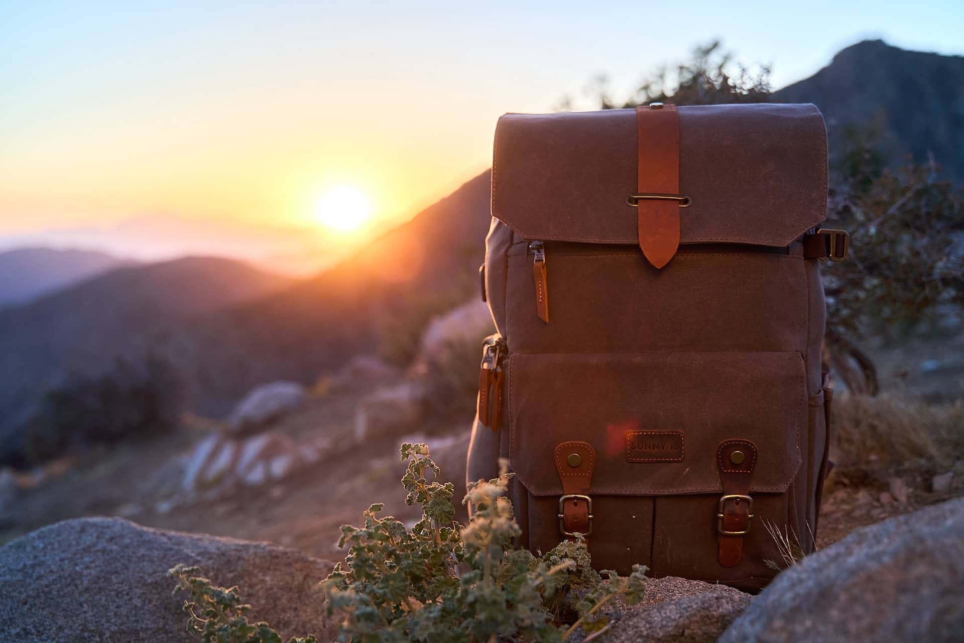 Camera case insert for backpack top