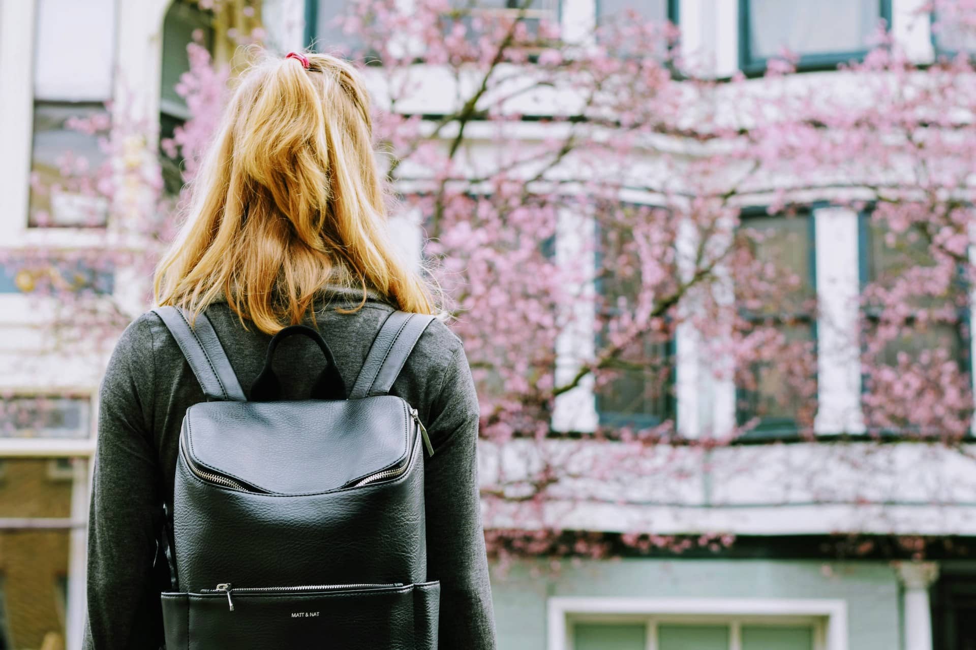 Shop Female Work Backpack Laptop Backpacks Sunny 16