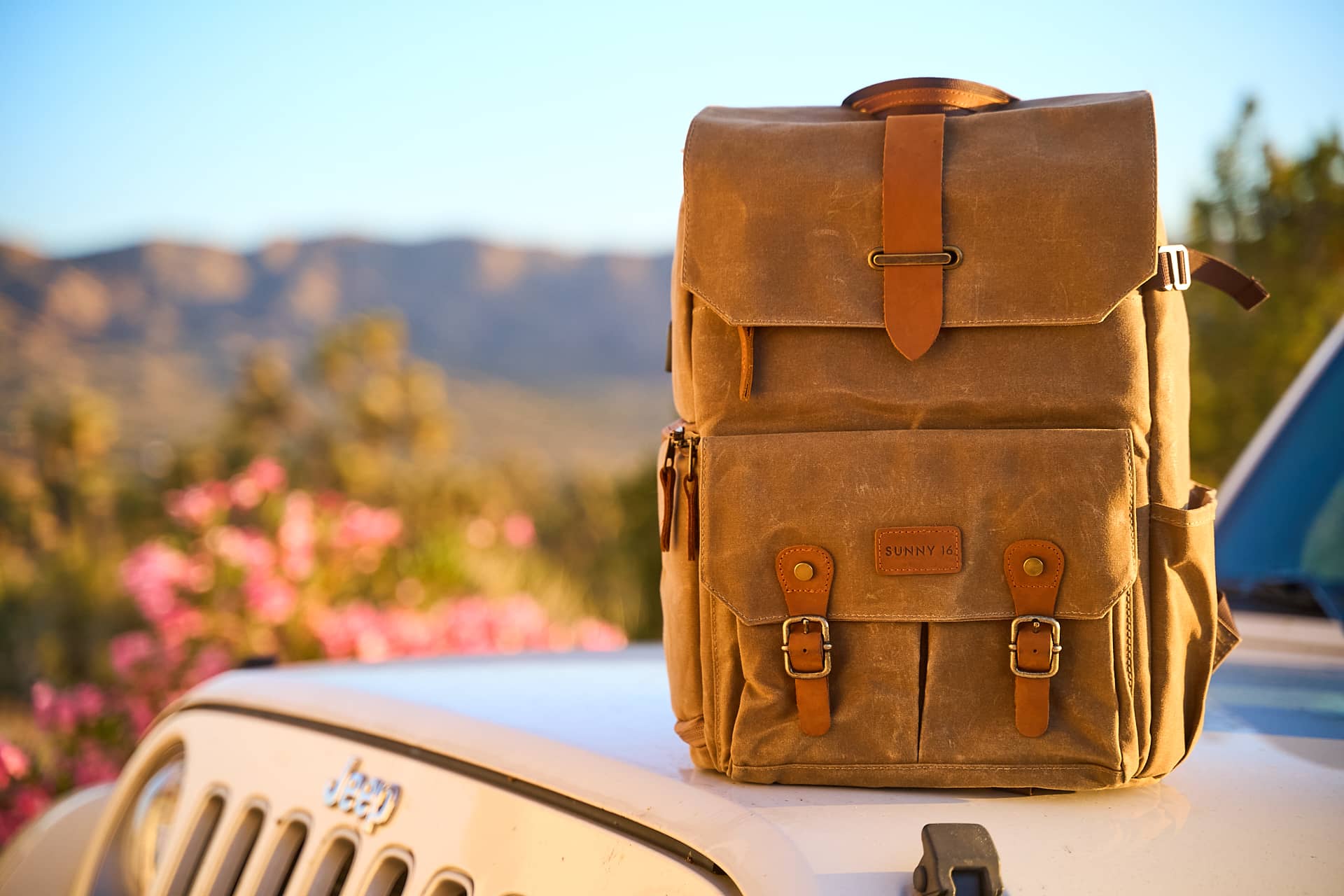 Vintage Camera Backpacks Bags for Photography Retro Bags Cases Sunny 16