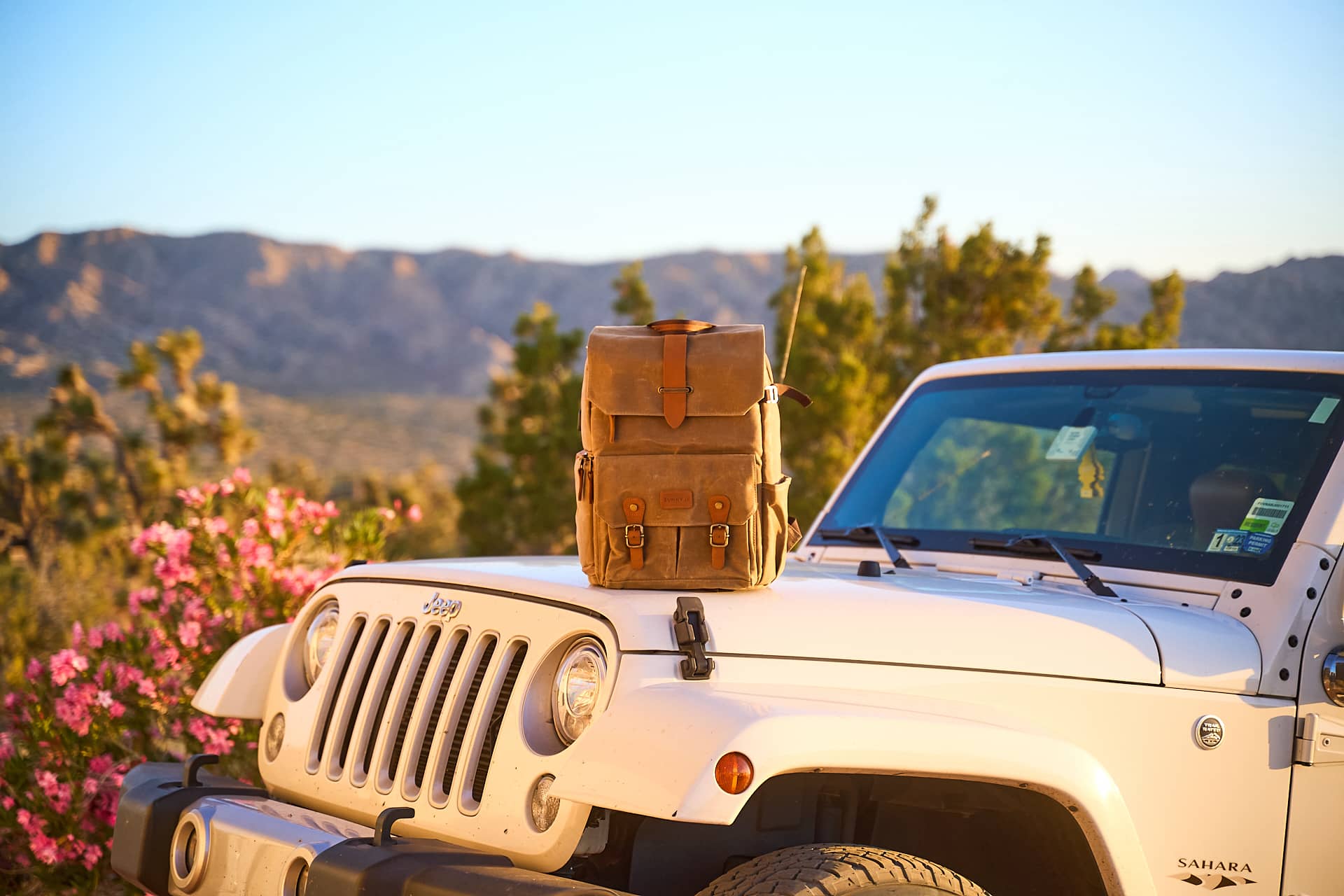 Waxed Canvas Camera Bags and Backpacks - Waterproof Camera Cases and Rucksacks - Sunny 16