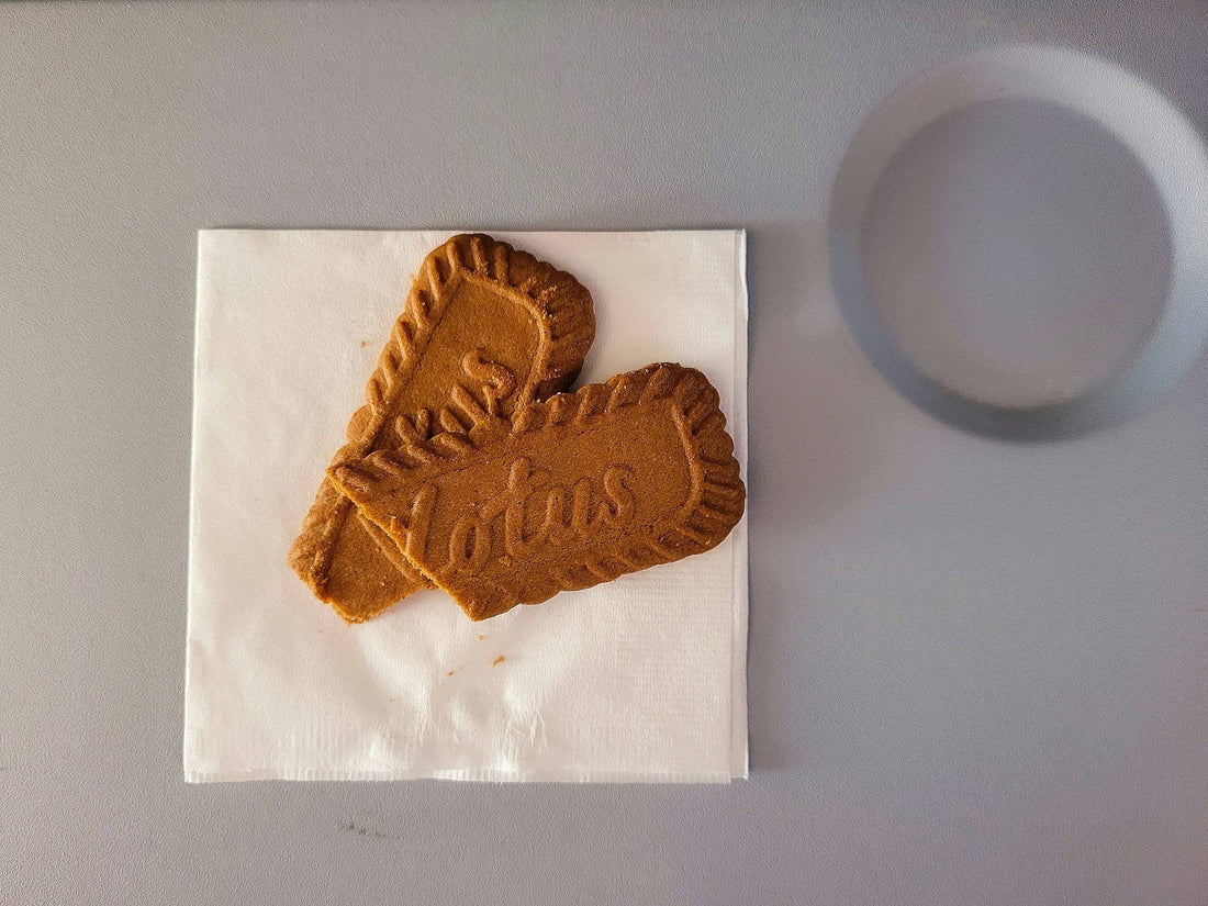 23+ Best Airplane Snacks for Your Next International Flight