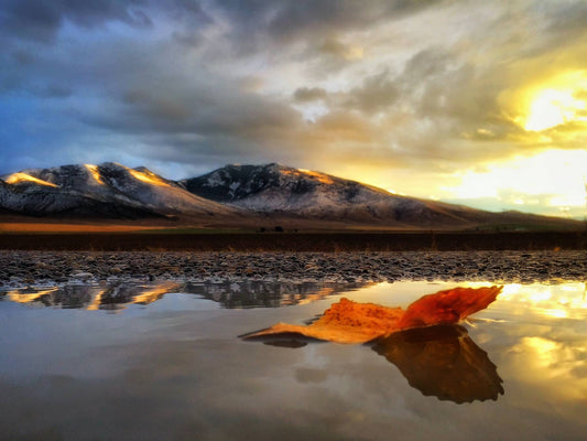 Is Photography Art? The Visual Fine Art Explained