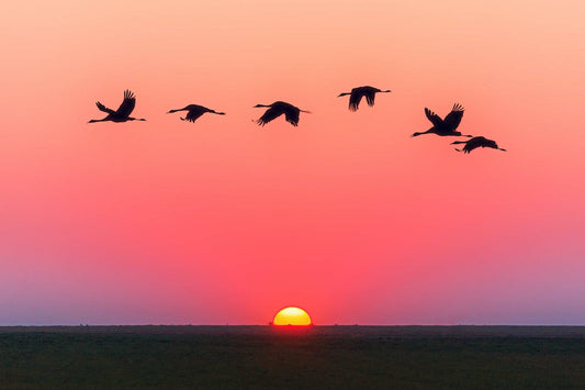 When is Golden Hour Photography? 15 Tips to Shoot Magic Hour Photos
