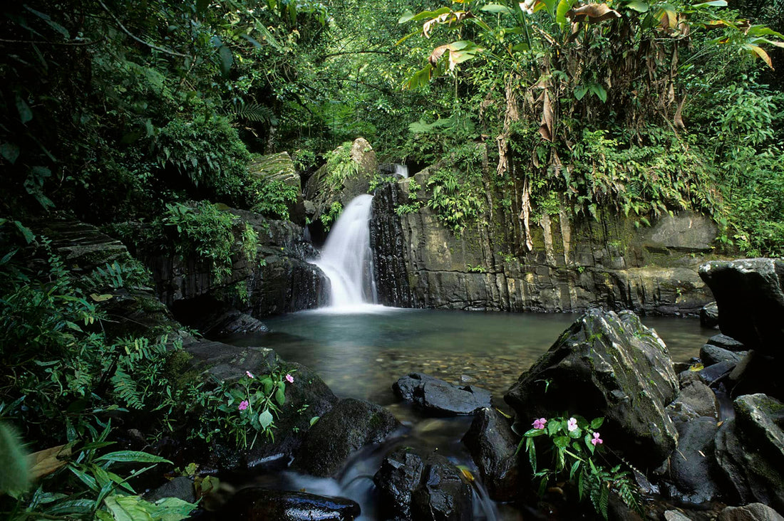 The Best (and Worst) Time to Visit Puerto Rico