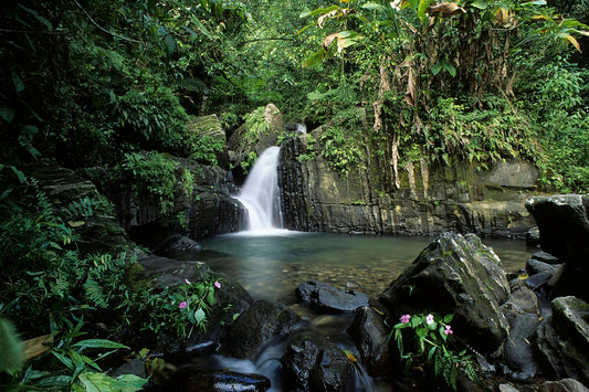 The Best (and Worst) Time to Visit Puerto Rico